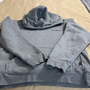 Patagonia Heather Gray Pullover Hoodie